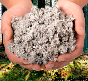 Celuloza w rękach i naturze