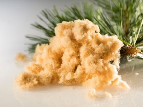 Izolacja wdmuchiwana poddasza wełna drzewna